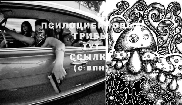 apvp Алексеевка